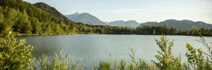 Fishery_13